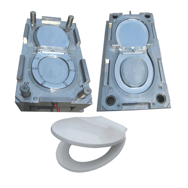 Toilet Mould 2-1